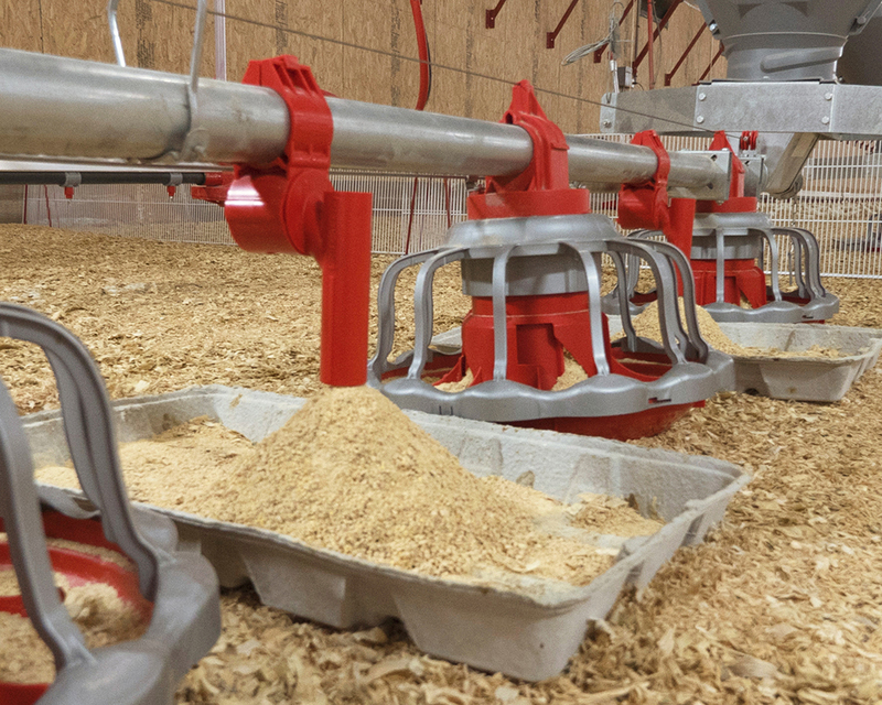 E-Z START® Feeder 
