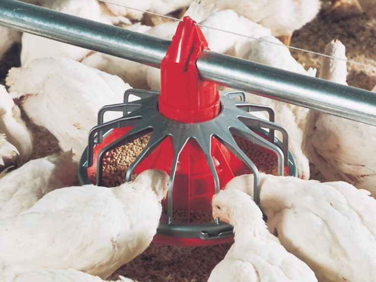  MODEL C2® Plus Feeder 
