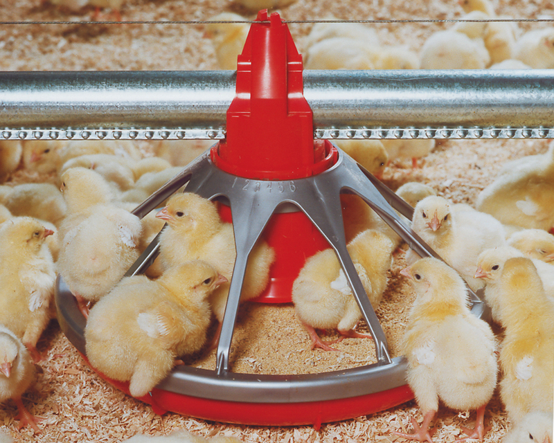  MODEL G™ PLUS Feeder 