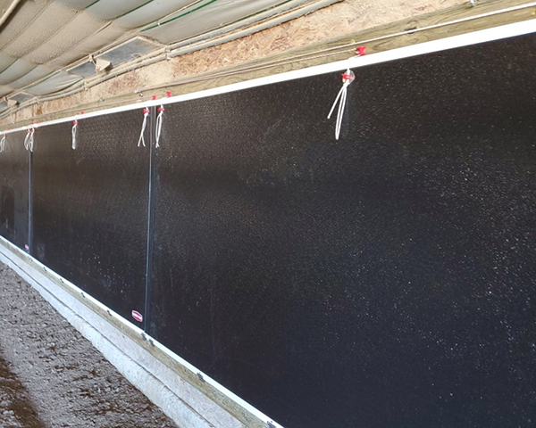 Tunnel Doors