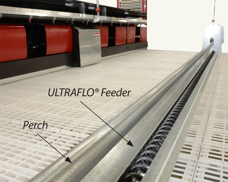 ULTRAFLO® Cage-Free Feeding Systems